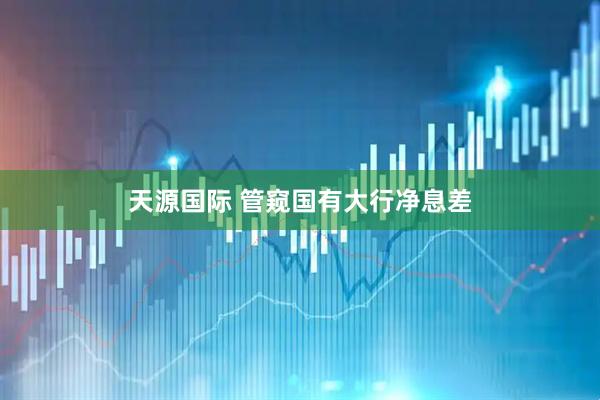 天源国际 管窥国有大行净息差