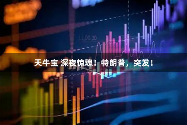 天牛宝 深夜惊魂！特朗普，突发！