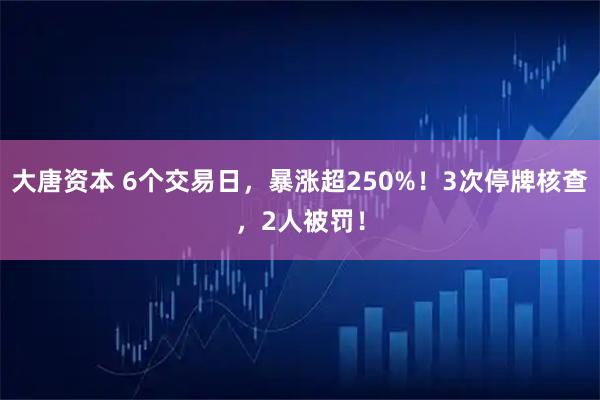 大唐资本 6个交易日，暴涨超250%！3次停牌核查，2人被罚！