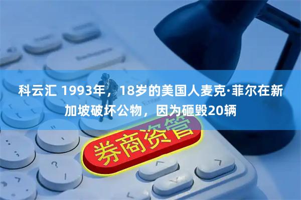 科云汇 1993年，18岁的美国人麦克·菲尔在新加坡破坏公物，因为砸毁20辆
