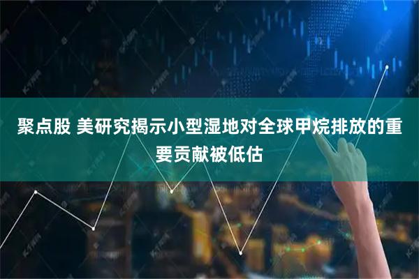 聚点股 美研究揭示小型湿地对全球甲烷排放的重要贡献被低估