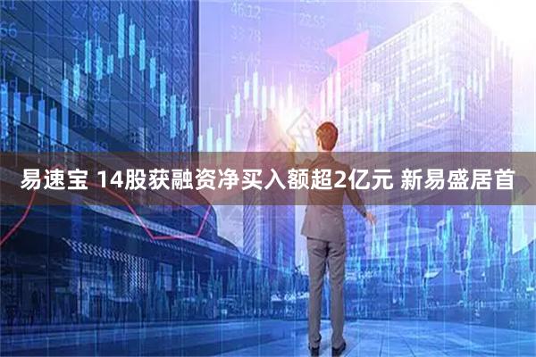 易速宝 14股获融资净买入额超2亿元 新易盛居首