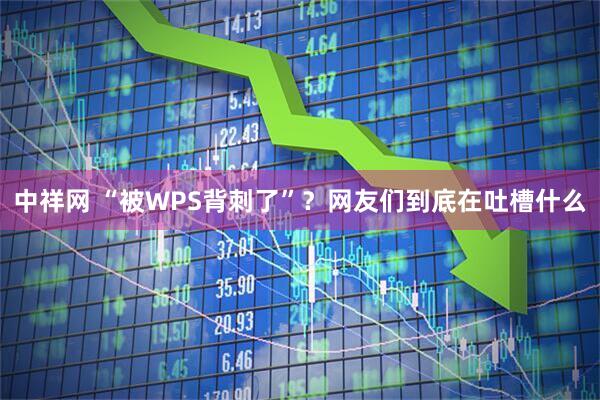 中祥网 “被WPS背刺了”?网友们到底在吐槽什么